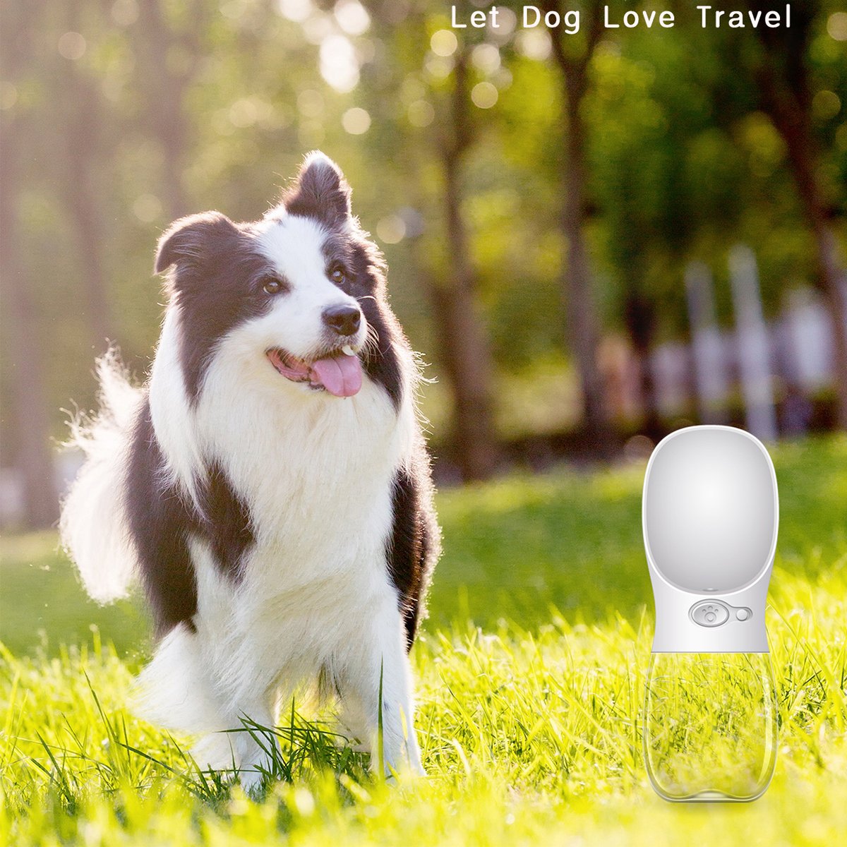 Portable Pet Water Bottle