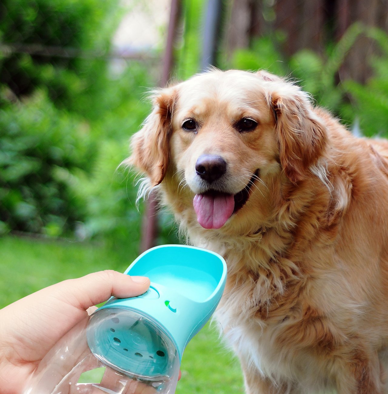 Portable Pet Water Bottle