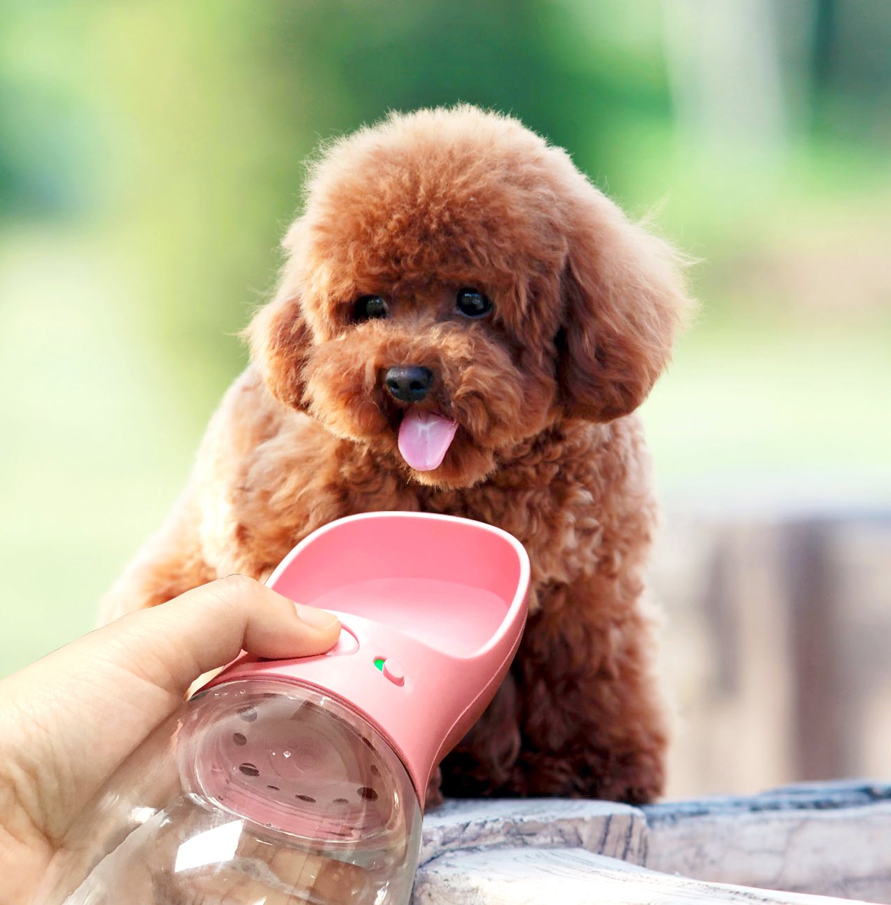 Portable Pet Water Bottle