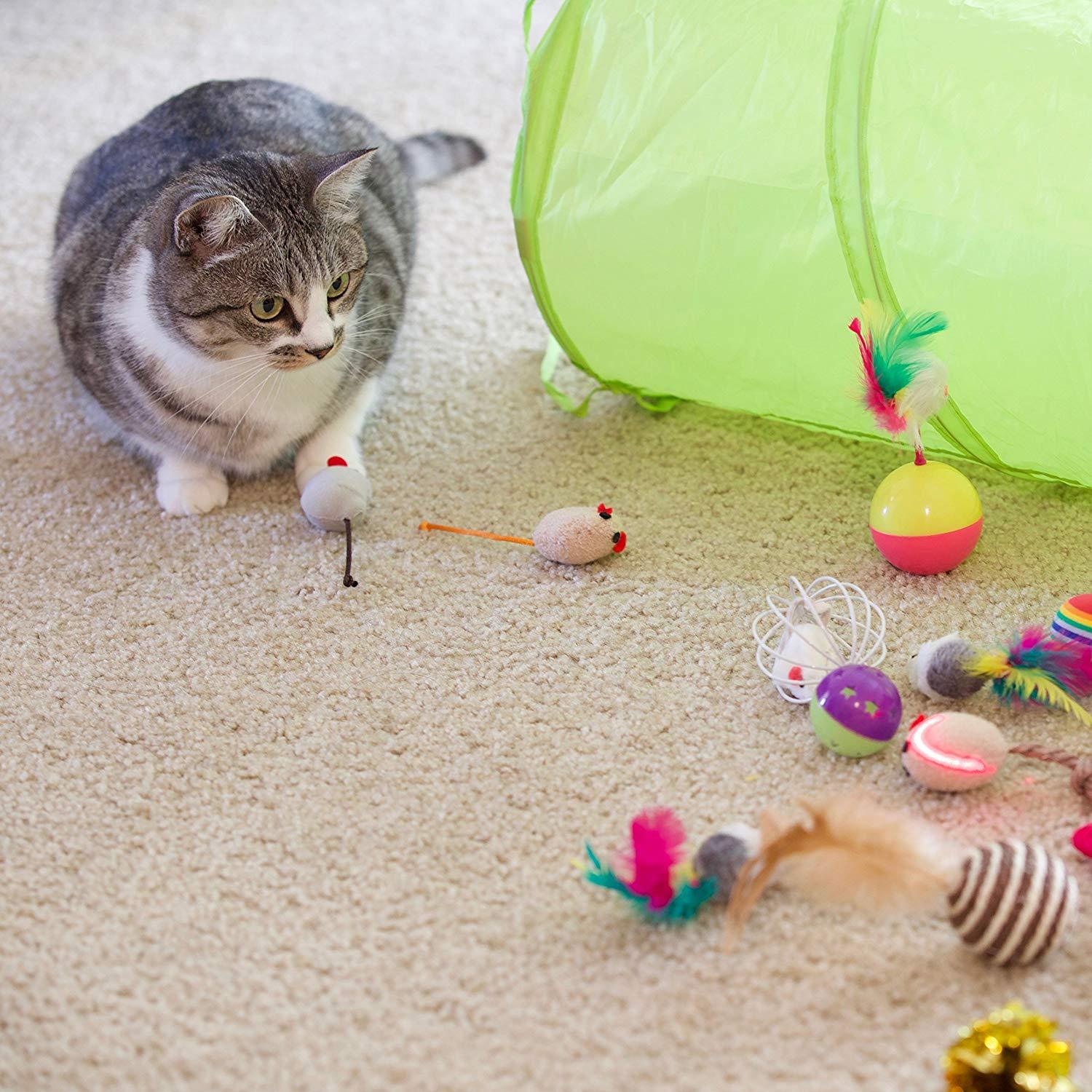 Cat Tunnel Toy