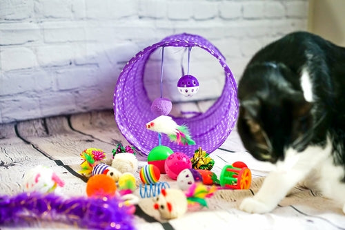 Cat Tunnel Toy