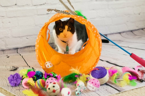 Cat Tunnel Toy