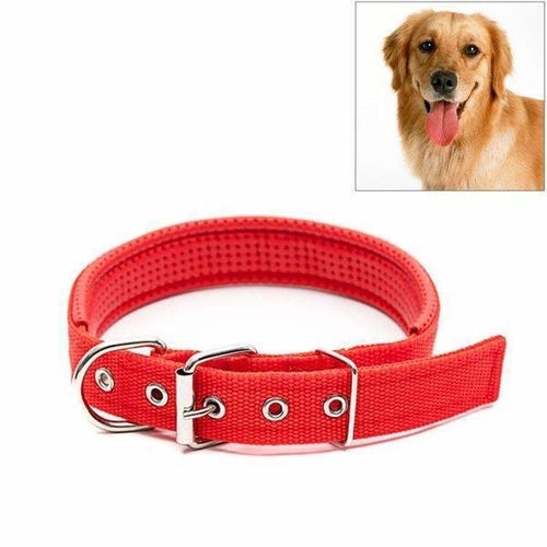 Adjustable Dog Collar with Metal D Ring & Buckle Pet Collars Neck