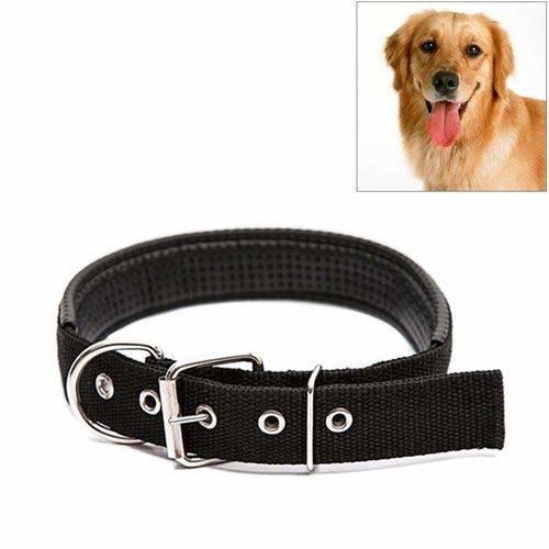 Adjustable Dog Collar with Metal D Ring & Buckle Pet Collars Neck