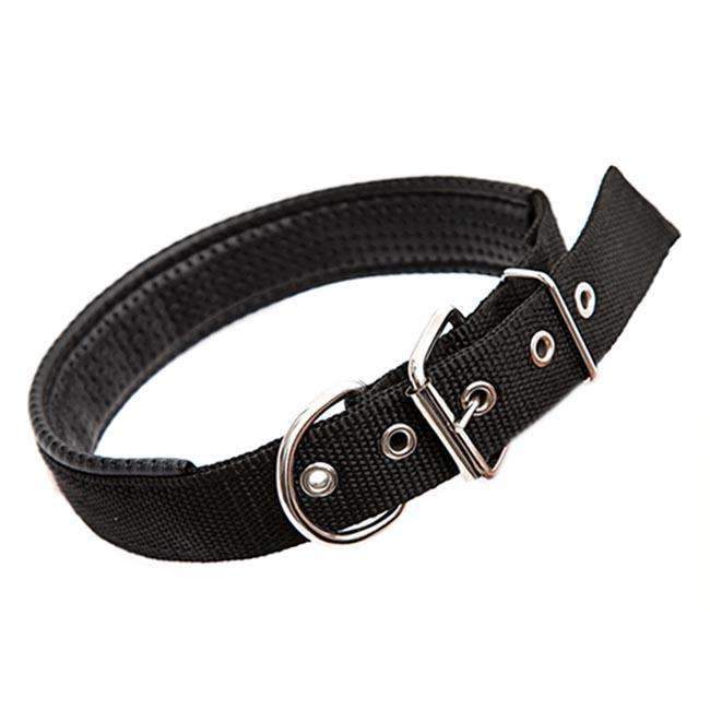 Adjustable Dog Collar with Metal D Ring & Buckle Pet Collars Neck