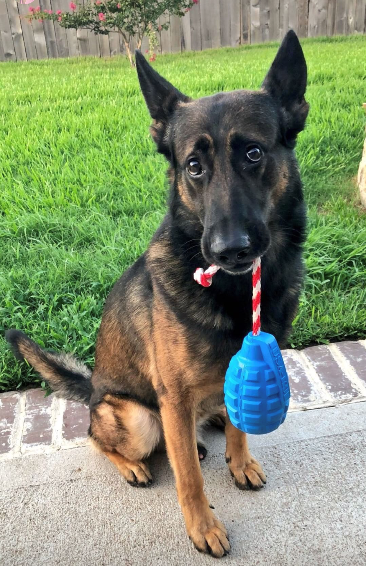 USA-K9 Grenade Durable Rubber Chew Toy