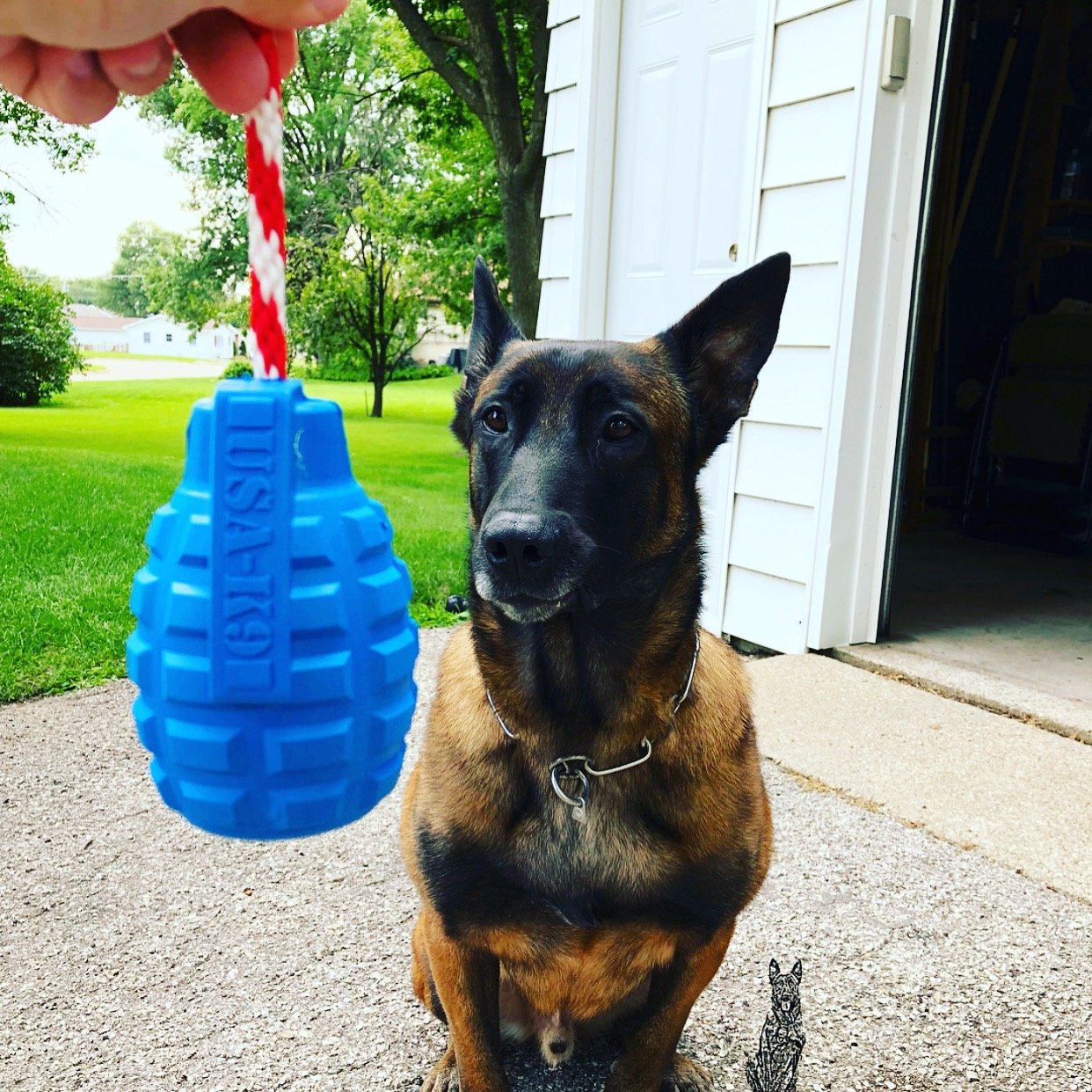 USA-K9 Grenade Durable Rubber Chew Toy