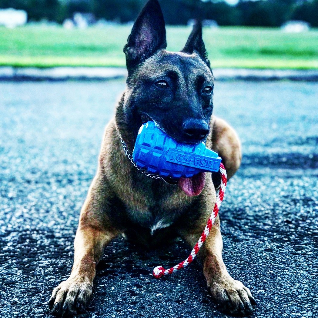 USA-K9 Grenade Durable Rubber Chew Toy