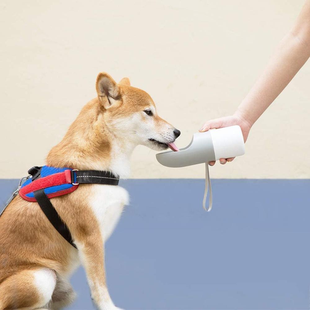 Pet Travel Bottle