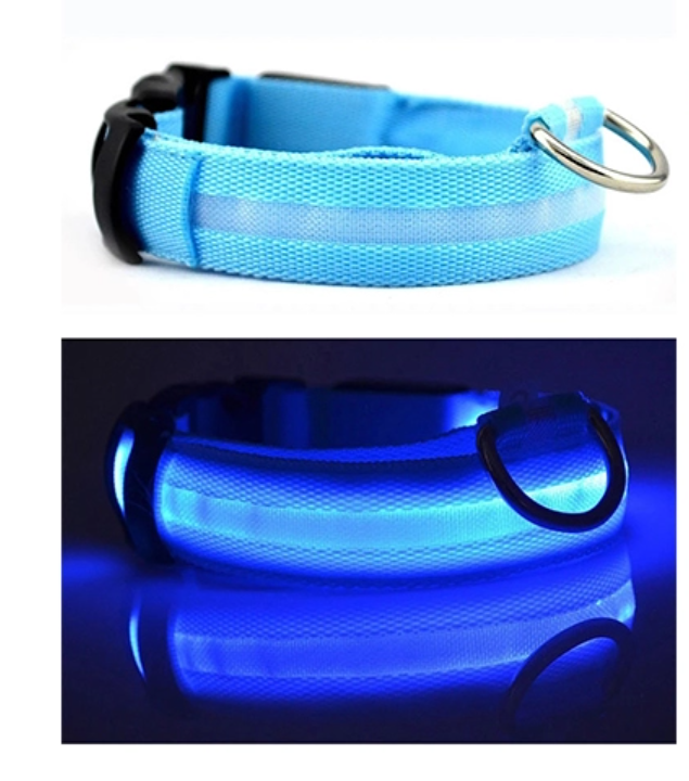 2 items DUO KIT (Pet Food Scoop & USB Rechargeable Led Collar)