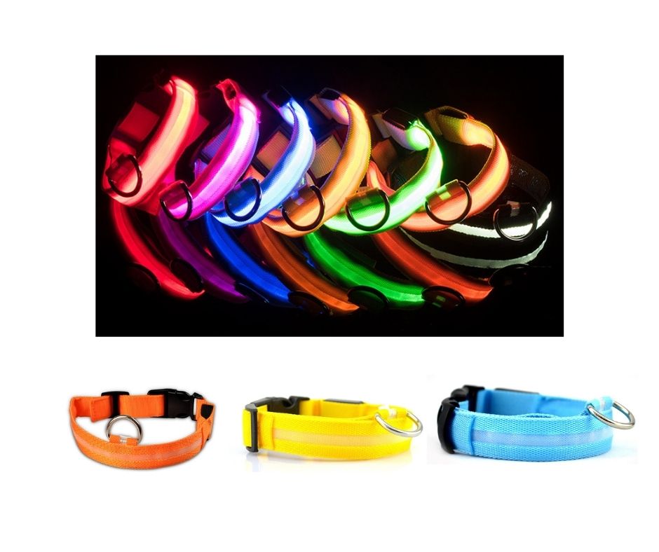 USB RECHARGEABLE LED PET COLLAR