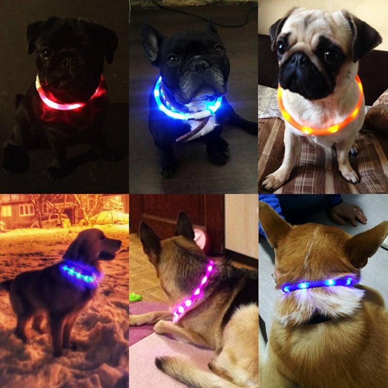 USB Rechargeable Flashing Night Dog Collars