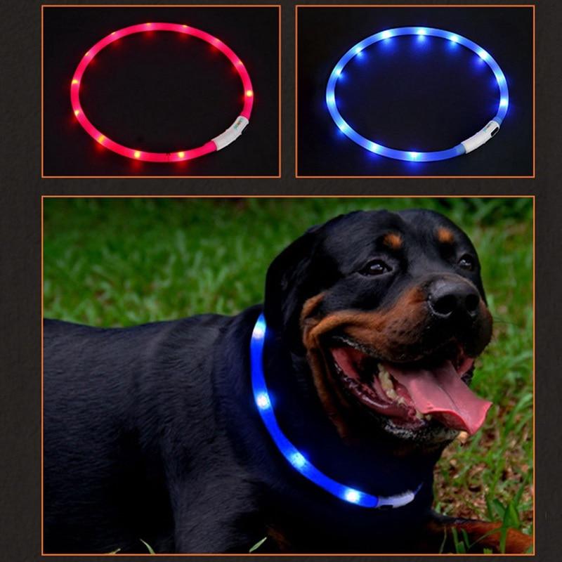 USB Rechargeable Flashing Night Dog Collars