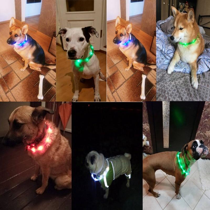 USB Rechargeable Flashing Night Dog Collars