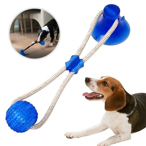 Multifunction Pet Molar Bite Dog Toys Rubber Chew Ball