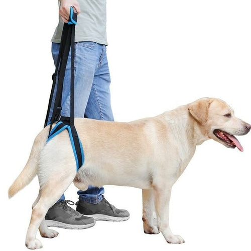 Pet Dog Harness Dog Sling Lift Harness