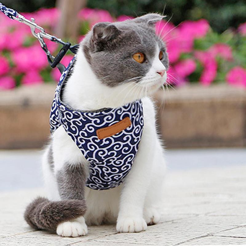 Pet Harness