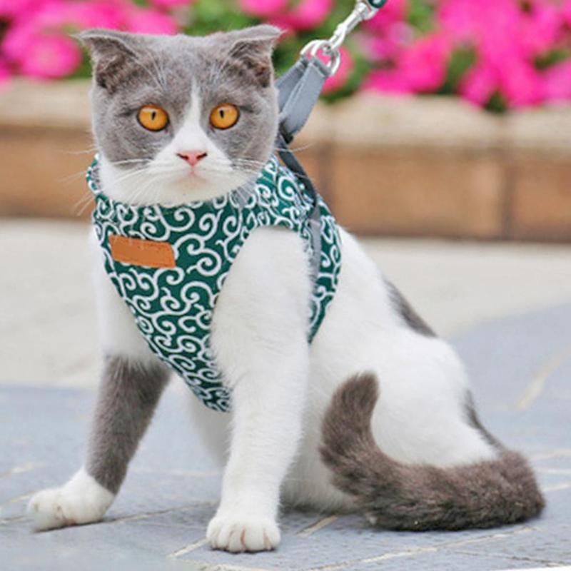 Pet Dog Cat Harness Vest with Outdoor Walking Leash